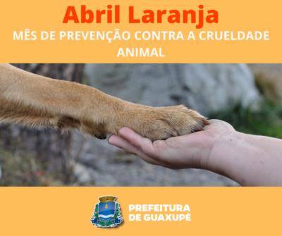 Abril Laranja: Mês de conscientização contra a crueldade e os maus tratos a animais 