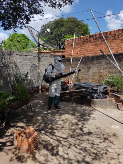 Dengue: Ações de combate e controle foram intensificadas nas últimas semanas